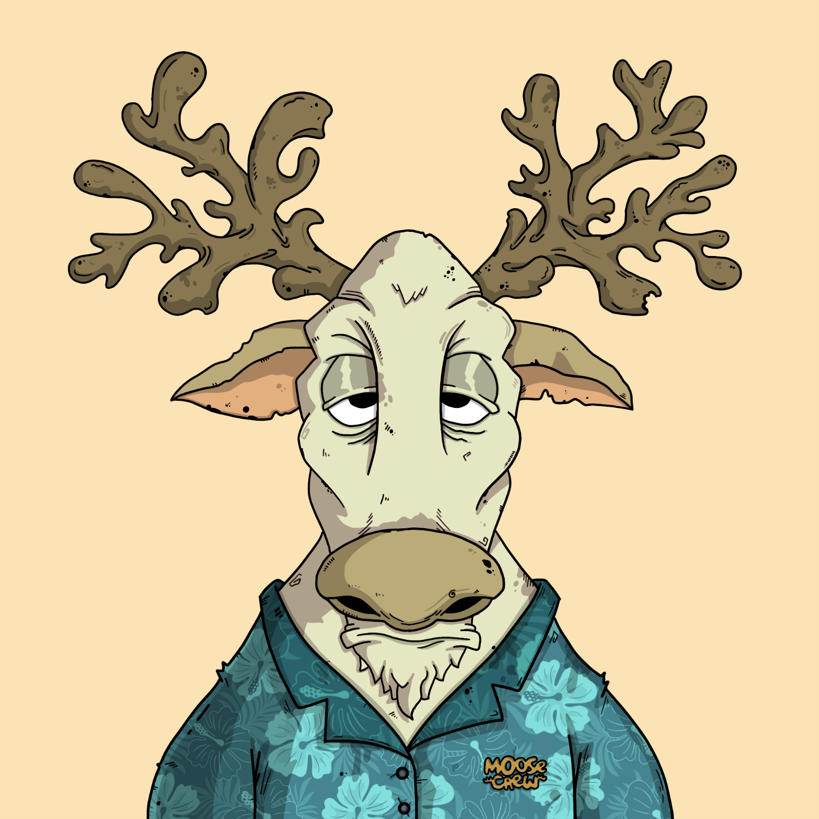 MOOSE URBAN 2